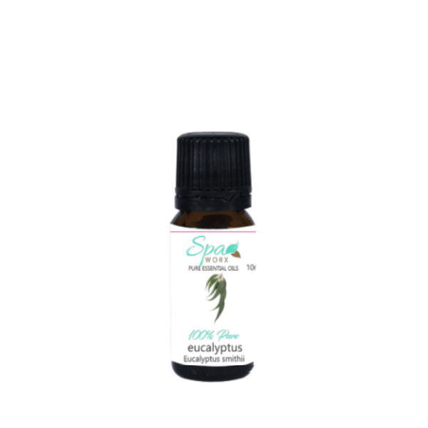 Escential Oil – Eucalyptus 10ml