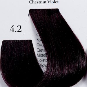 12 Minute 4.2 Chestnut Violet
