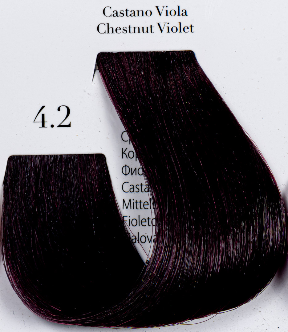 12 Minute 4.2 Chestnut Violet